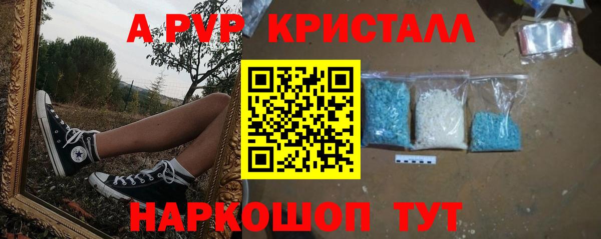 Альфа ПВП СК КРИС Шебекино