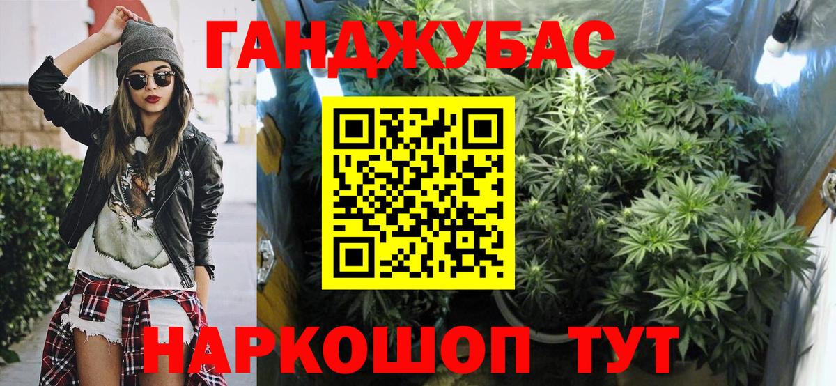 Конопля план Шебекино